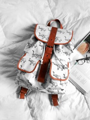Hiking Backpack